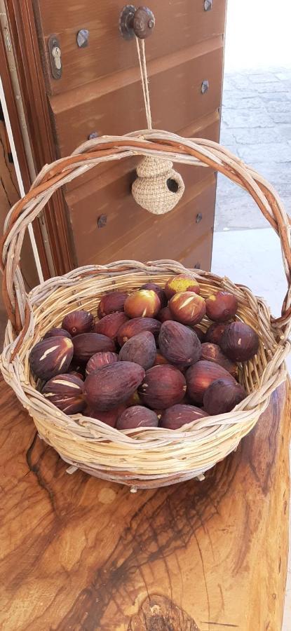 Antica Masseria Ficazzana - Tenuta Marina Di Pescoluse Zewnętrze zdjęcie